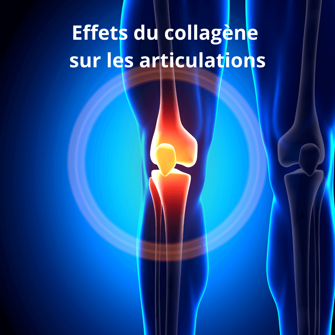 effets du collagene sur les articulations